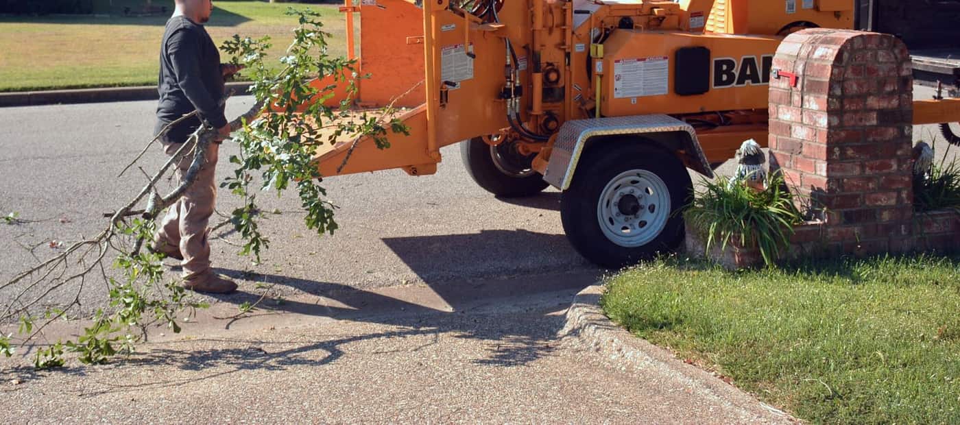 Tree trimming crew feeding limbs into a chipper on a suburban Long Island street